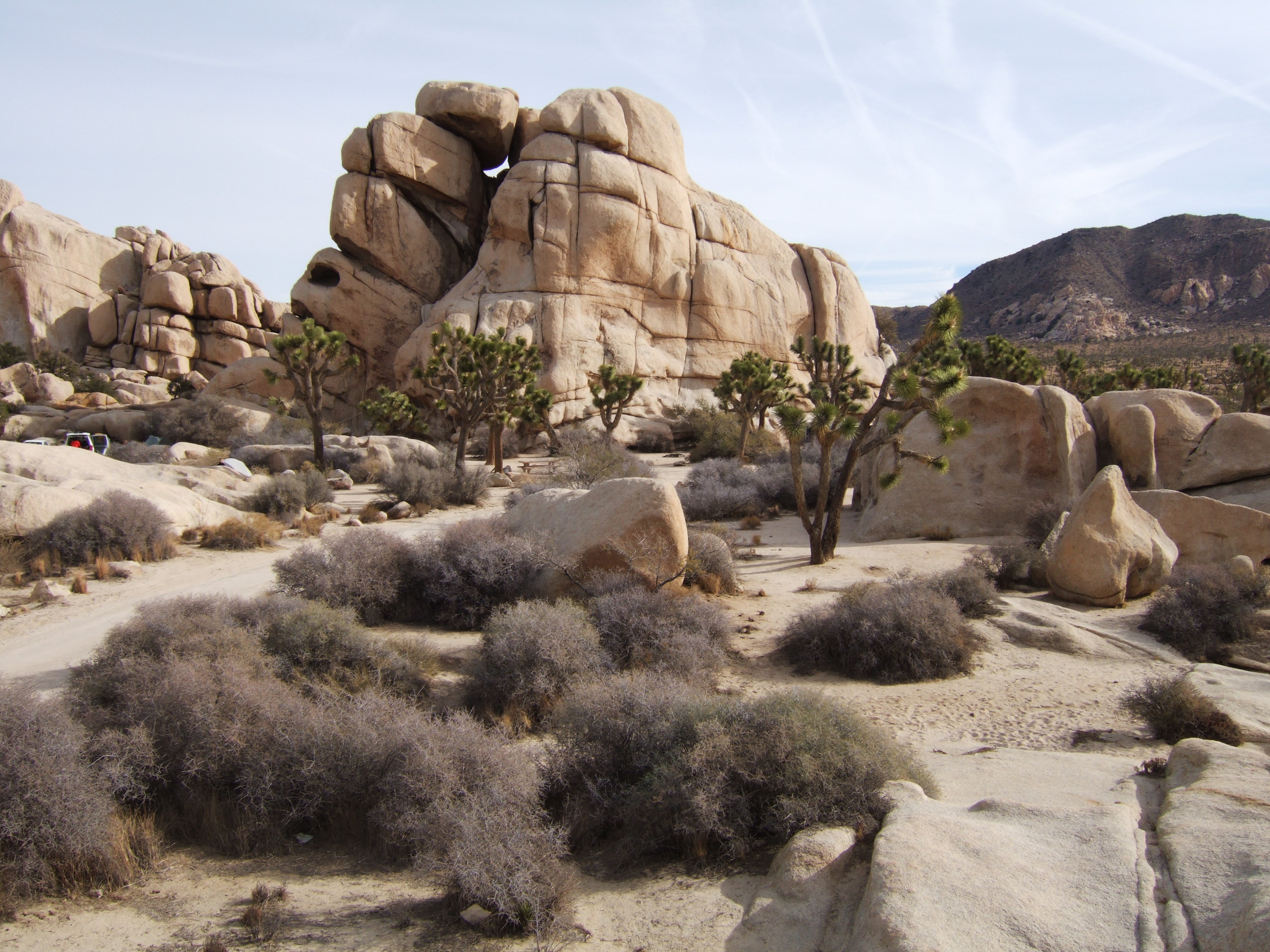 Joshua Tree NP